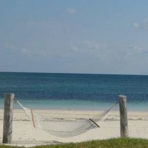 Meet your Posher, Marie n